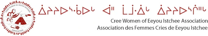 Cree Women of Eeyou Istchee Association