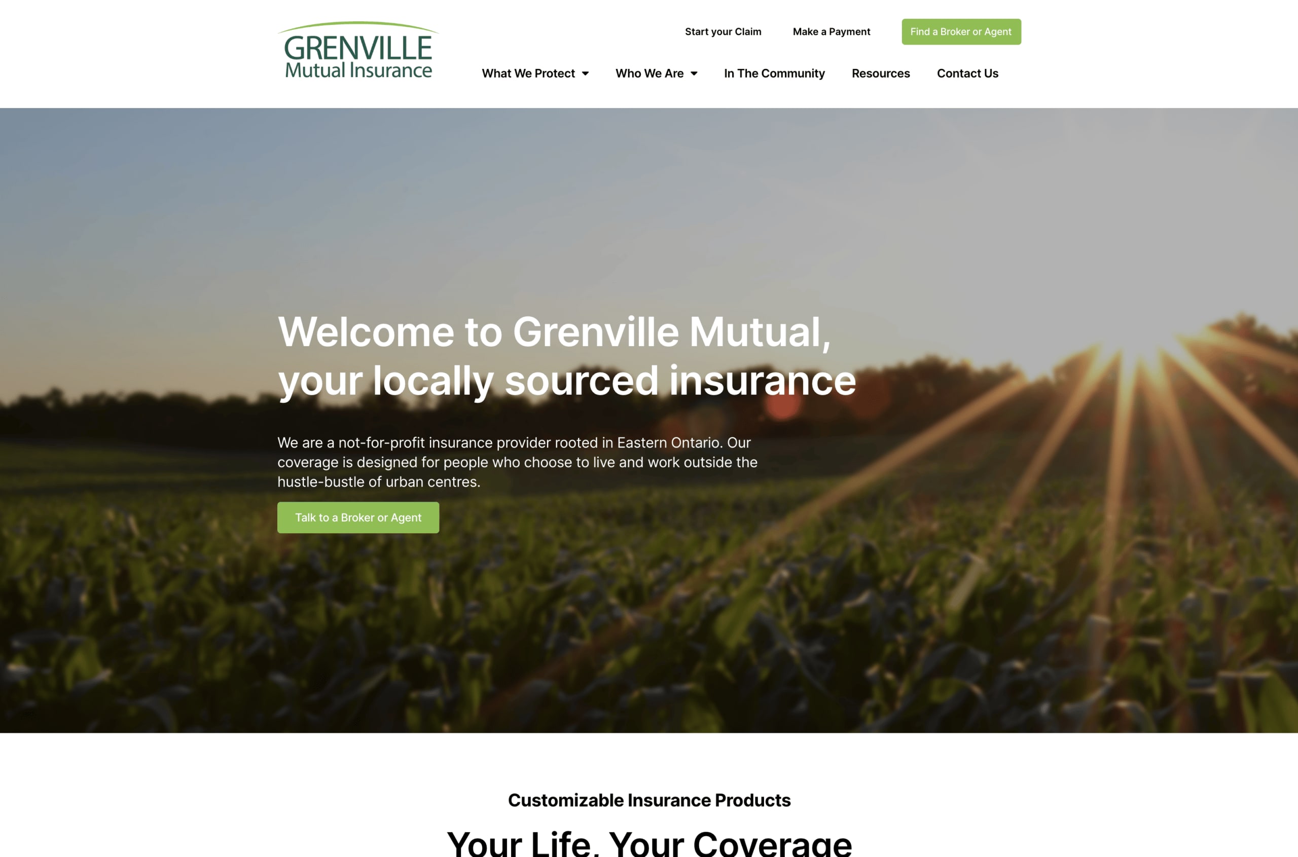 greenville-after